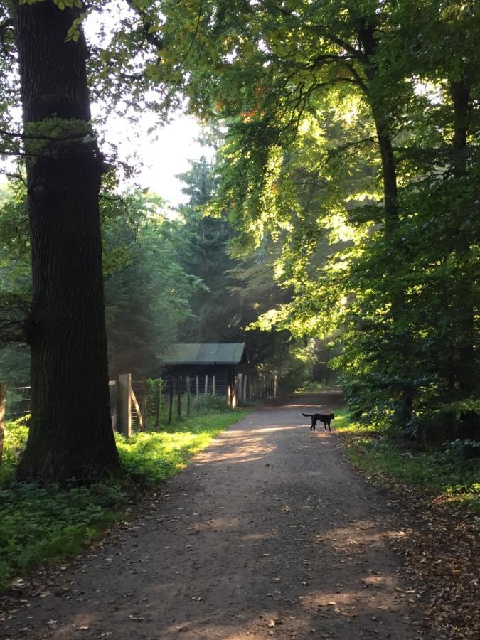Hannover List 2 Bedroom Home Away From Home Экстерьер фото